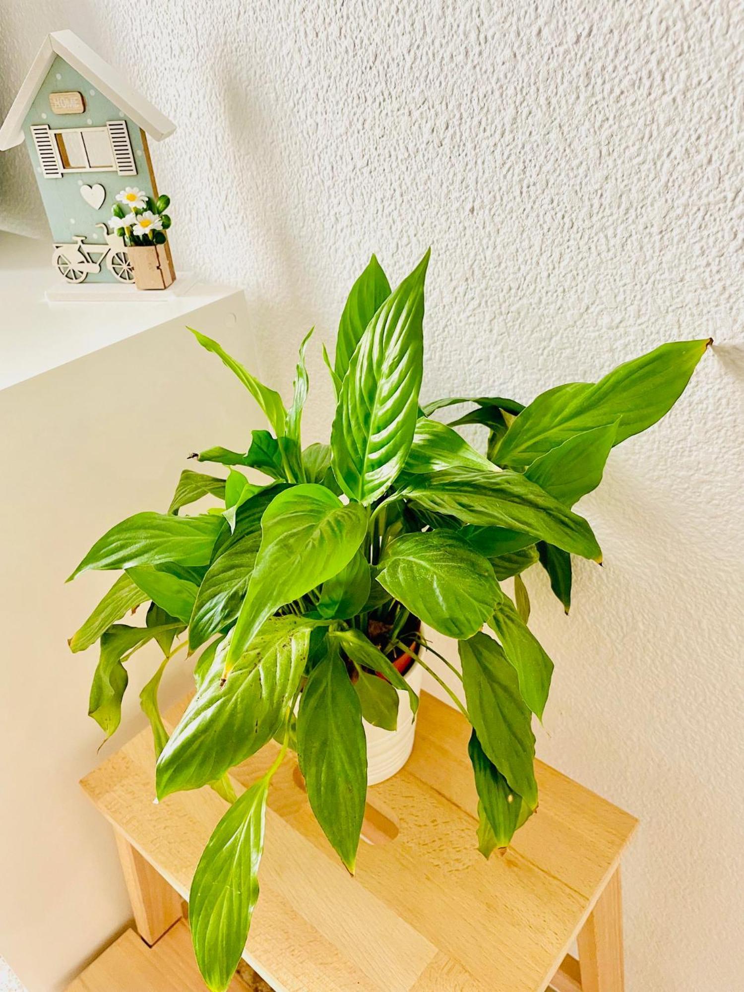 Precioso Apartamento Playa Pinedo Valencia Ngoại thất bức ảnh